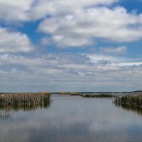 Водохранилище Селец. :: Владимир Фисенко