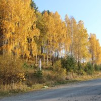 путешествие в осень :: Тыртышных Светлана 