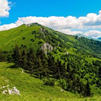 Кавказский заповедник :: Роман Величко