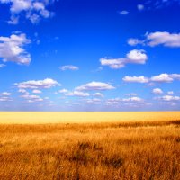 Облака над полем :: Владимир Дороненко
