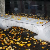 Дождливая осень в Твери :: Татьяна Богачева