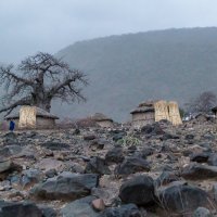 Масайская деревня, пыльная буря (Танзания, 2015) :: Сергей Андрейчук