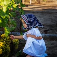 виноград :: Кира Екименко