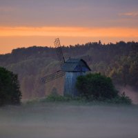 Утро. Туман. Мельница. :: Наталья Левина