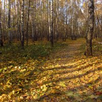 Короток век Золотой Осени :: Андрей Лукьянов