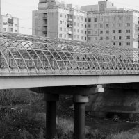 Мост :: Радмир Арсеньев