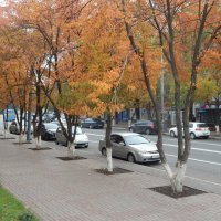 осень в моем городе :: Лилия Дубчак