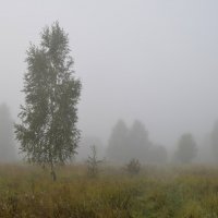 Этот утренний обман называется - .......( туман). :: Legeboka 