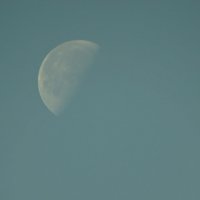 Дневная Луна :: Михаил Жуковский