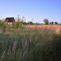 в деревне :: Августа 