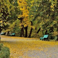 осень в парке :: Мария Климова