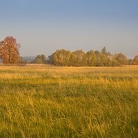 Осень в полях :: Виталий Латышонок