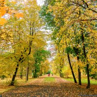Осень в городском саду - Кременчуг :: Богдан Петренко