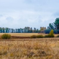 Осень :: Андрей Воробьев