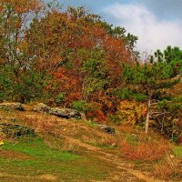 в осеннем парке :: Александр Корчемный