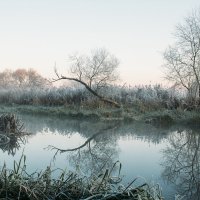 Cold morning on the river :: Николай Н