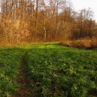 Октябрь не только наступил, но и прошел :: Андрей Лукьянов