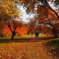 Осенняя прогулка :: Zifa Dimitrieva