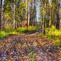 Осеннее :: Любовь Чунарёва