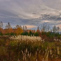 Вечер. :: Валера39 Василевский.