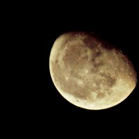 Луна :: Олеся Никонова