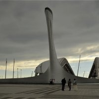 Олимпийский факел :: Светлана Винокурова