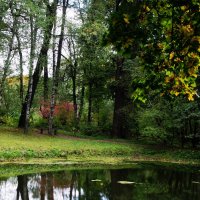 Есть в графском парке старый пруд... :: Ольга П 