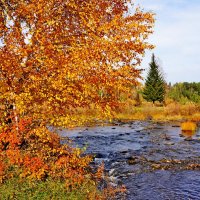 Самое  любимое время года :: Лилия Дубчак