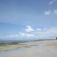 Пенный берег, белый песок... :: Марина 