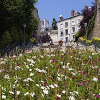 Blois :: Alex 