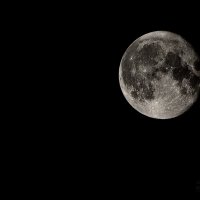 Лунная ночь ноября :: Андрей Шейко