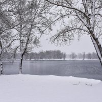 Первый снег. :: юрий Амосов