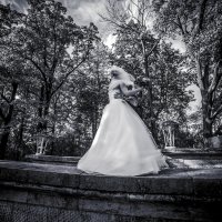 Wedding day Foto :: Andrey Pesterev