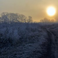 В дымке :: Юрий Стародубцев