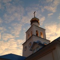 Купол церкви в честь иконы "Неупиваемая чаша" :: Ирина ***