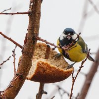 Зрелищ давай! :: Евгений 