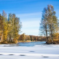 После заморозка :: Виталий 