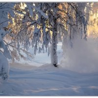 Снегопадение :: Василий Хорошев