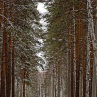 В одиночестве :: Kogint Анатолий