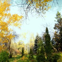 Осень в ботаническом саду. Самара. :: Александр Карманов