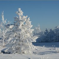 Безмолвие ноября :: Владимир Тюменцев