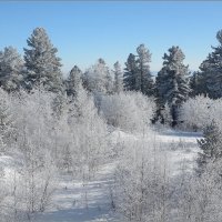 Волшебно,морозно и снежно. :: Владимир Тюменцев