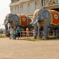 Прогулки по Индии :: olga 