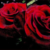 Две пылающие розы :: Нина Корешкова