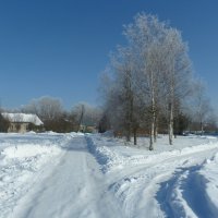 Морозный день. :: Александр Атаулин