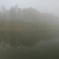 Осенний туман :: Алексей Хвастунов