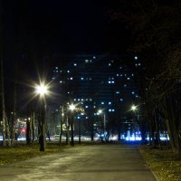 Ночной парк :: Светлана -