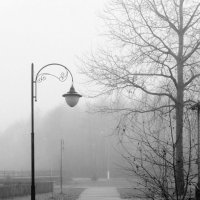 Туман :: Геннадий Хоркин