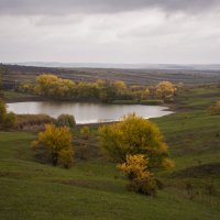 осенняя пора... :: Лариса Н