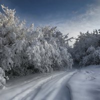 Зима! :: Виктор Гришенков